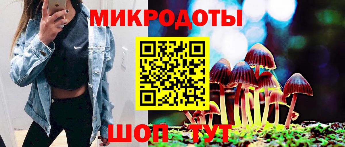 Галлюциногенные грибы MAGIC MUSHROOMS  Псилоцибиновые грибы GOLDEN TEACHER  Вход с VPN  Асино 